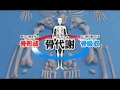 資料篇～人体のふしぎ～(3)骨格