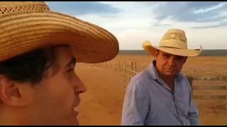 HEY ROY: O OESTE É IMPLACÁVEL