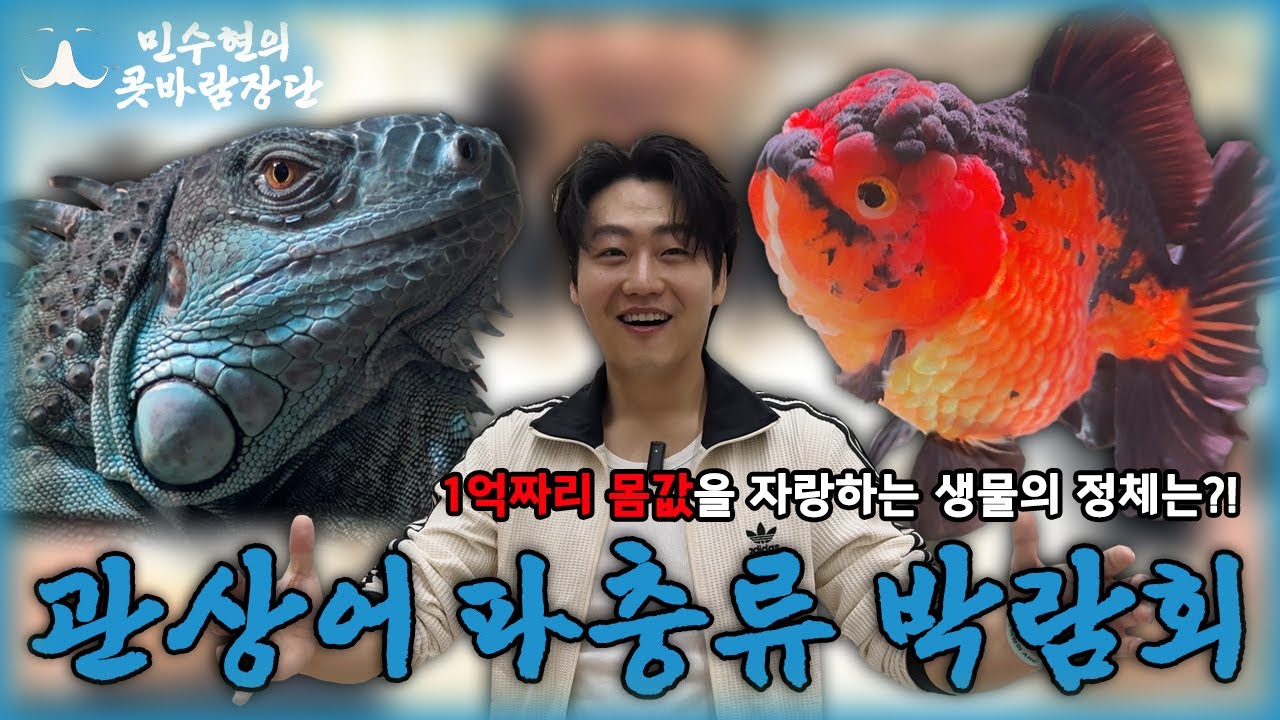 와… 이게 1억원이라니!｜파충류·관상어 박람회 현실 후기 (몸값 충격)