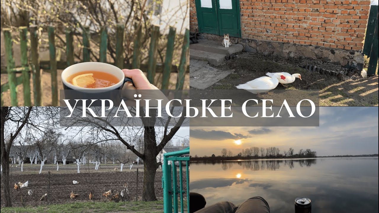 Українське село | сад, місцеві краєвиди, асмр