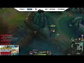 Emerald Jungle Coaching |  !azubi !bootcamp !academy !coaching