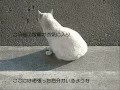 ふりむかないで