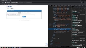 Consulta RUC 2021 | Mundo Visual Basic