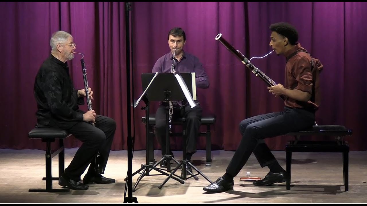 Haydn - Baryton Trio Nr. 113 D-Dur - YouTube