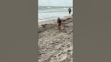 The kids carry buckets of water. Baby Playing Short Video! #beachplay #cutechildren #kids