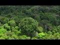 Amazon: The lungs of our planet by BBC