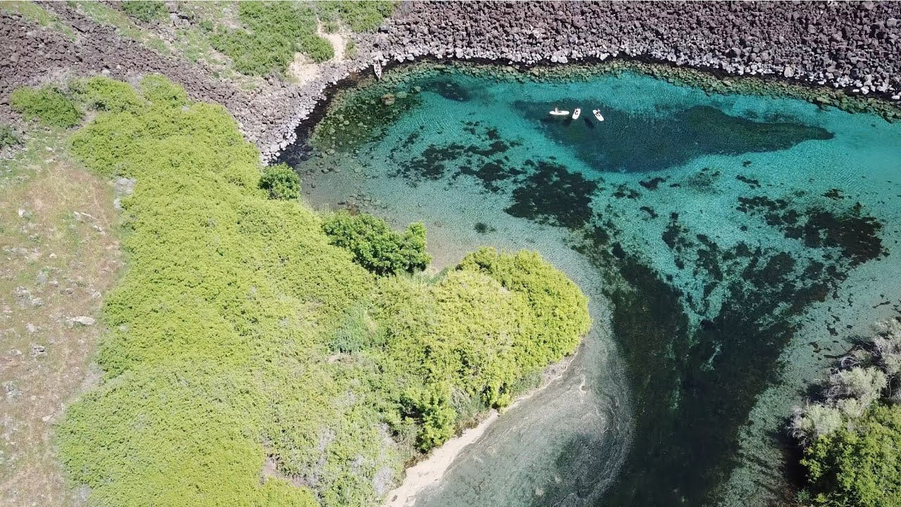 Snake River Float Trip Blue Heart Springs & Ritter Island YouTube