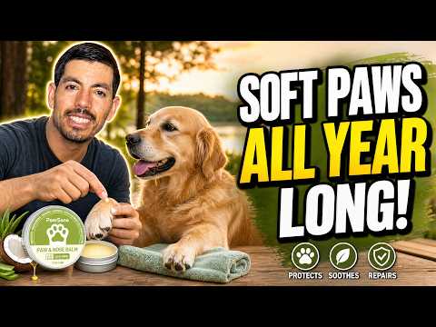 Video thumbnail: PawSono Lick-Safe Dog Paw & Nose Balm Review: A Coconut Oil Balm for Dry Noses and Cracked Pads