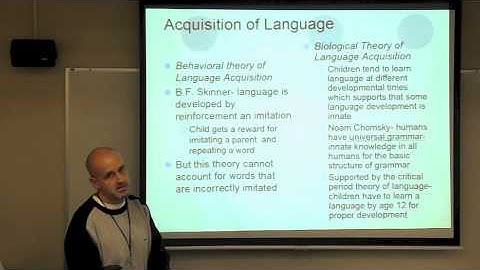 Chapter 4: Cognition