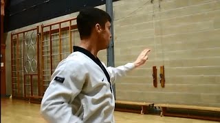 Taekwondo Training highlights - Poomsae Pyongwon (formal training) - [Master Luke Robinson] screenshot 2