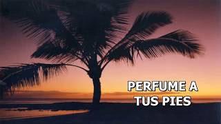 Perfume a tus pies - Jaz Jacob