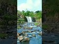 Panama Waterfalls | #shorts #viral #trending