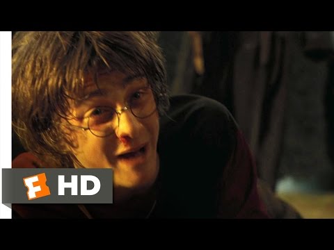 Harry Potter and the Goblet of Fire