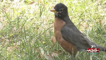 Why are storms moving east to west?