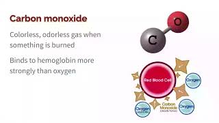 7.1 Intro to Air Pollutants