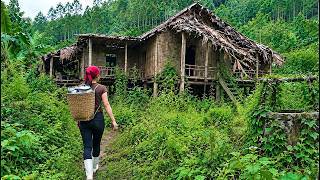 Kicked Out by Her Mother-in-Law, a Young Woman Buys an Old House, Renovates It and Starts a New Life