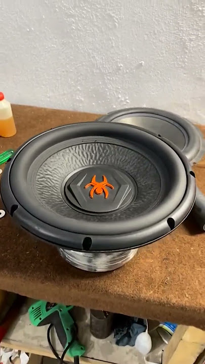 Xpider Audio 700 Watt RMS Subwoofer !!  918053480908