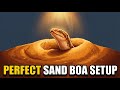 Arabian Sand Boa Care: The Perfect Setup Guide