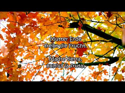 Schwarzer Engel-Wenn mein Herz Zerbricht (Sub Español)