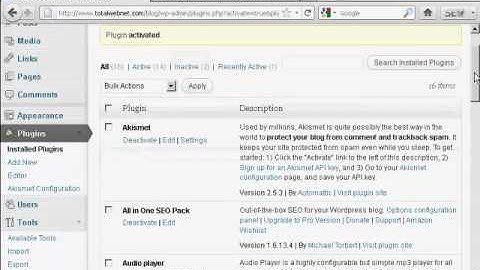 How to Add a Google Plus Button In Your Post