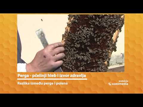Video: Kako Se Koristi Pčelinji Hleb