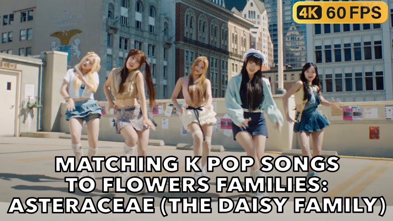 MATCHING K POP SONGS TO FLOWERS FAMILIES: ASTERACEAE (THE DAISY FAMILY)