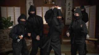 Ninja Reflex screenshot 5