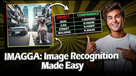 Imagga API Tutorial: Easy Object Detection in Photos with Python and Imagga