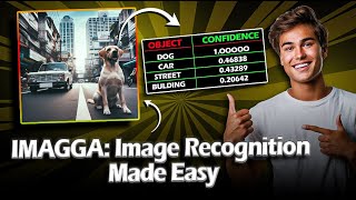 Imagga API Tutorial: Easy Object Detection in Photos with Python and Imagga
