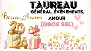 Taureau ANNÉE 2024 - L'INVITATION AMOUREUSE...RÉORIENTATION PRO