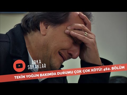 Video: BarkBox Altın Kemik Yarışması