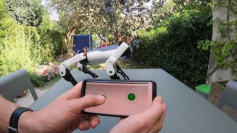 Intermediate inverse kinematics test of the SpotMicro running on an ESP32