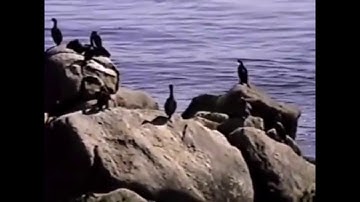 COMPUTER DATA - alright