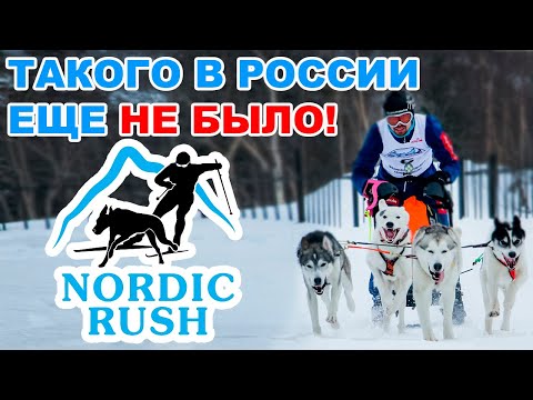 ТАКОГО В РОССИИ ЕЩЕ НЕ БЫЛО! Фестиваль ездового спорта Nordic Rush 2021