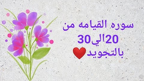 سوره القيامه من 20الي 30 بالتجويد وبصوت واضح ومكرره للحفظ بروايه حفص_Al-Qiyamah_Resurrection