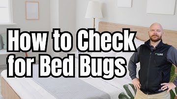 How to Check for Bed Bugs