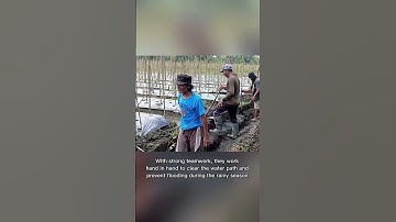 "Teamwork in actie — samen riolen graven #shorts #feedshorts #trendingshorts #illegaal #gebouw