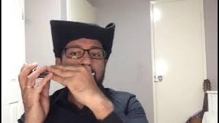 Rasputin - Boney M ( Short Harmonica cover) #rasputin #harpmanofperth #boneym