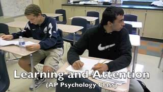 AP Psychology Brain Project