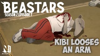 Kibi looses an arm | BEASTARS Season 2 Episode 7