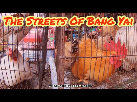 Walking Around The Streets Of Bang Yai City Nonthaburi - Thailand Video Tour 2021