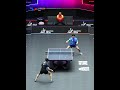 林诗栋的拍子是什么配置?#tabletennis #pingpong
