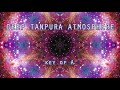 Deep tanpura atmosphere  in a  sacred soundscape for musicians