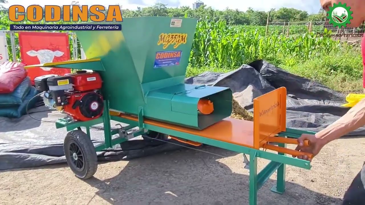 SEGUNDA EDICIÓN TV CODINSA