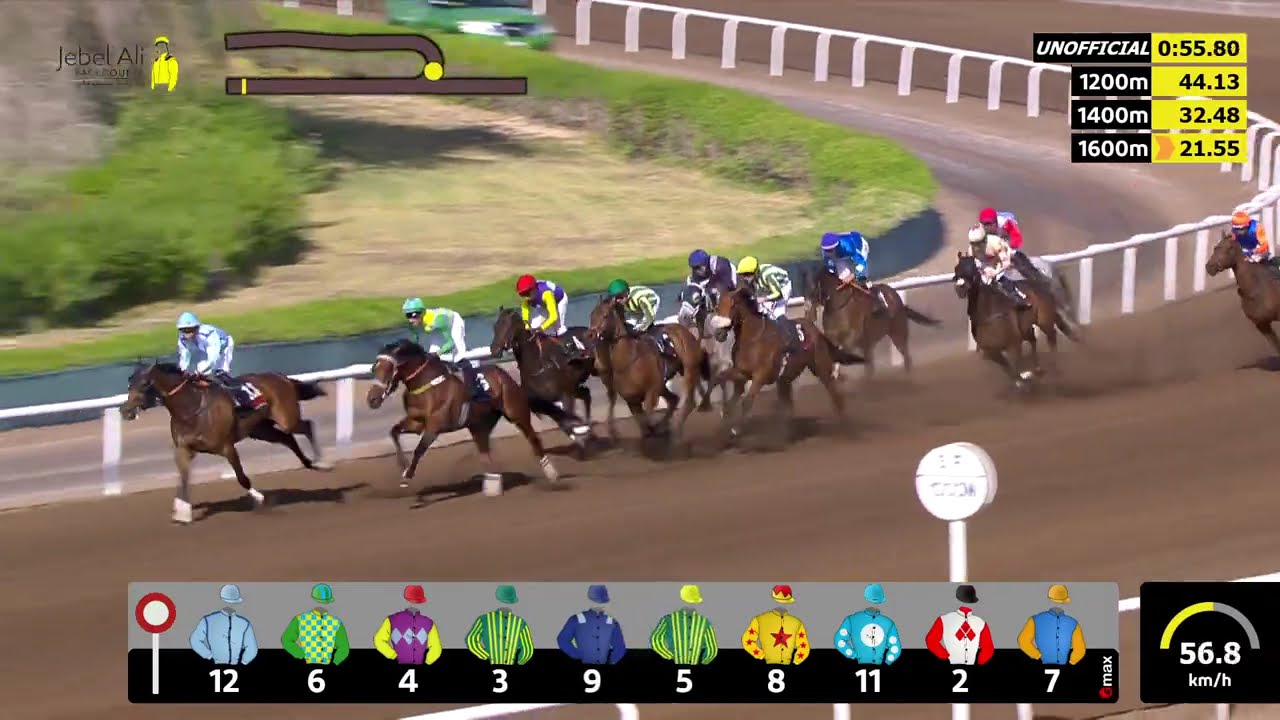 Jebel Ali 310126 Race 5