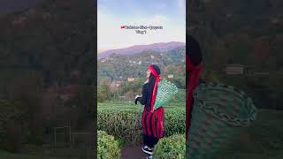 #trabzon #tasacakbudeniz #rize #çeçeva #cecevarize #uzungol