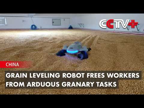 Video till Robotar börjar arbeta i spannmålsmagasin