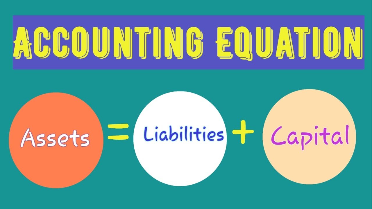 Class11 Accountancy Chapter2| Accounting Equation - YouTube
