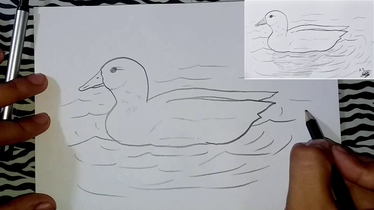 Como dibujar un PATO - YouTube