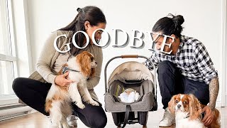 SAYING GOODBYE TO OUR OLD PLACE // Cavalier King Charles Vlog